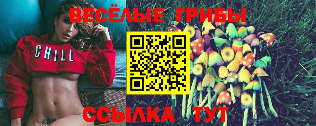 Псилоцибиновые грибы GOLDEN TEACHER Старая Русса