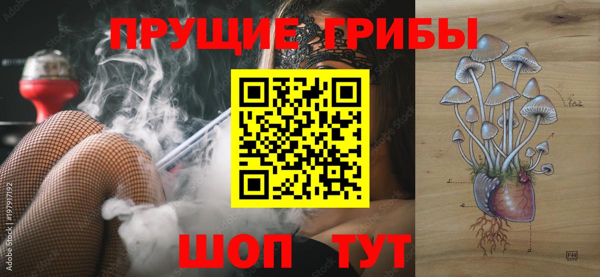 Галлюциногенные грибы прущие грибы  Вход с VPN  Псилоцибиновые грибы GOLDEN TEACHER  Старая Русса 