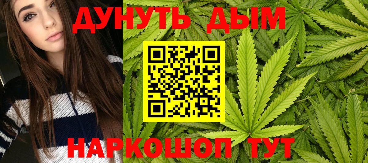 Старая Русса  Бошки Шишки семена  Вход с VPN  Каннабис сатива 